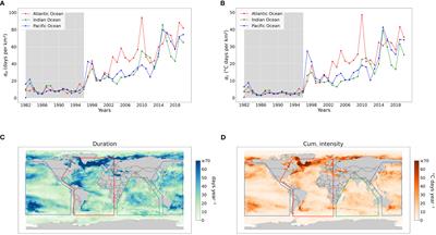 Distribution and impacts of long-lasting marine heat waves on phytoplankton biomass